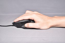 ꡼ No.017Υͥ / PRۡRazer Basilisk V3פΥ󥵡϶äǽۥοǽLEDߥ͡ܤǥ