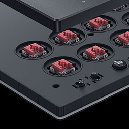 ꡼ No.003Υͥ / ̤ʹС쥹ȥRazer Kitsuneפȯɽˡؼå¸