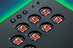 ꡼ No.006Υͥ / RazerΥС쥹ȥKitsuneפͽ󤬻Ϥޤ롣ؼåѤ19.2mm¸