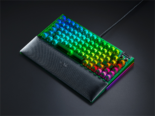 ꡼ No.003Υͥ / ƩƸȥ󥹥롼ȥǥѤޡյ郎Razerо