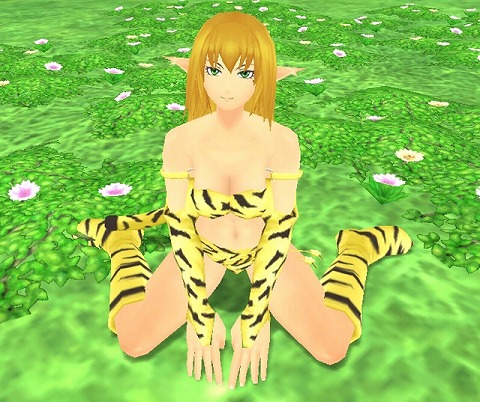 画像ギャラリー No.002のサムネイル画像 / 「グランディア オンライン」虎の装備が手に入るキャンペーン開催