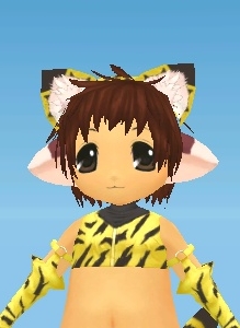 画像ギャラリー No.004のサムネイル画像 / 「グランディア オンライン」虎の装備が手に入るキャンペーン開催