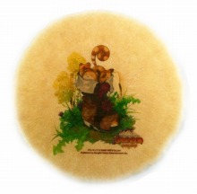 画像ギャラリー No.005のサムネイル画像 / 「グランディア オンライン」,若木 萌さんの公開収録を秋葉原で