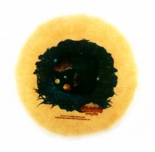 画像ギャラリー No.008のサムネイル画像 / 「グランディア オンライン」,若木 萌さんの公開収録を秋葉原で