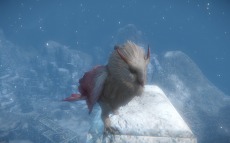 ���������꡼ No.015�Υ���ͥ������ / ��ICARUS ONLINE�ץǥ����������Ȥ򹹿�����󥹥�������ͤ��Ƴ��Ѥ���֥ե����������ƥ�פȡ��������ư������