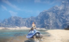 ���������꡼ No.019�Υ���ͥ������ / ��ICARUS ONLINE�ץǥ����������Ȥ򹹿�����󥹥�������ͤ��Ƴ��Ѥ���֥ե����������ƥ�פȡ��������ư������