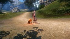 ���������꡼ No.010�Υ���ͥ������ / ��ICARUS ONLINE�ס��ե�����������˻��ѤǤ����������ȡ��ե�������ڥåȲ����륷���ƥब������