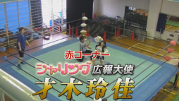 画像ギャラリー No.006のサムネイル画像 / 「ICARUS ONLINE」の運営ディレクターとシャリング広報大使のプロレス対決動画が公開