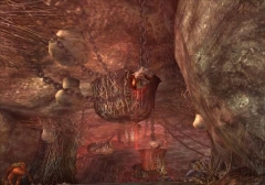 ꡼ No.005Υͥ / ֥㥤 Relic of Mystra緿åץǡȡ֥ߥȥΰ仺פ3Ƥ»ܡ󥸥֥󥻥ס֥󥫥ץȡפʤɤо