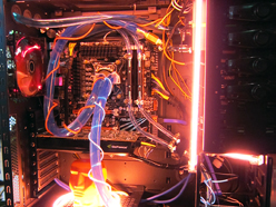 ꡼ No.007Υͥ / COMPUTEXKingstonHyperX꡼Serial ATA 6GbpsбSSDɲáưСåбΥ⥸塼HyperX PnPפ