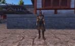 ꡼ No.004Υͥ / MMORPGPerfect World --ס緿åץǡȡTHE INHERITED TRIBAL INTENT ջפѤԤ