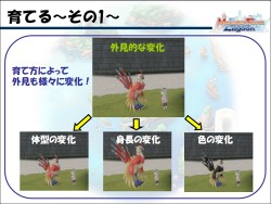 ꡼ No.008Υͥ / 1ǯ֤εٻ/Ƴȯη̡ȸѺɤȤƤо줬ꡪ ֥󥹥ե 饰ݡ