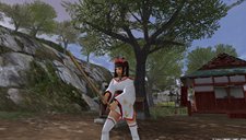 ꡼ No.006Υͥ / Blade Chronicle: Samurai Onlineץ٥륭å׳俷ޥåɲäʤɤΥåץǡȤ»