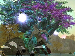 ꡼ No.015Υͥ / NCsoft Kim Taek Hunᥤ󥿥ӥ塼The Tower of AIONפά䡤ȤΡɥȥˤĤƸʹʹƤ
