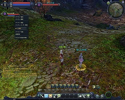 ꡼ No.046Υͥ / ²Τθܤ丫줿ʿĤ˷ѡThe Tower of AION׼緿åץǡȡEpisode2.5 Τءԥץ쥤ݡ