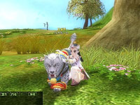 画像集#008のサムネイル/「熱血江湖オンライン」,もっとかわいく! 神獣変身第2弾実装