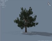 ꡼ No.121 | ޲̵ۤUnrealEngine 3ȯåȤ3DäƤߤ褦