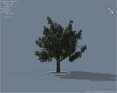 ꡼ No.123 | ޲̵ۤUnrealEngine 3ȯåȤ3DäƤߤ褦