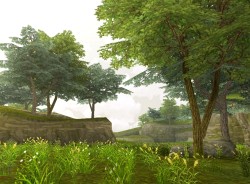 ꡼ No.006Υͥ / YNK JAPANοMMORPG81keysסCMࡼӡ䥤᡼饹ȡ꡼󥷥åȤʷϵå