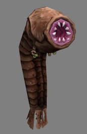 ꡼ No.030Υͥ / YNK JAPANοMMORPG81keysסCMࡼӡ䥤᡼饹ȡ꡼󥷥åȤʷϵå