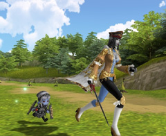 ꡼ No.008Υͥ / MMORPG81Keysפߤ륤᡼/ܥʥꥪŸȤϡץȥޥ͡㡼ͥؤäʹƤߤ
