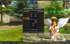 ꡼ No.004Υͥ / WeMade OnlineĿMMORPG81KeysספΥץ쥤եȡʸɤꥲθ򰮤ָƥפݡ