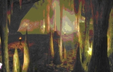 ꡼ No.008Υͥ / 󤭿²֥ꥢס1013Ĥо졣81Keysס10ΥåץǡȾΦ1027