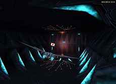 ꡼ No.001Υͥ / ĤŨܵϤ֥饤סϢΥȡ꡼¶ޤ緿åץǡȤ2011ǯ427˼»