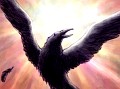「剣と魔法の博物館 モンスター編」第111回を掲載：八咫烏