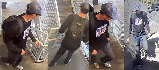 ���������꡼ No.004�Υ���ͥ������ / Access Accepted��840�󡧥��㡼�꡼����������Ʒ�����Ϫ��ˤʤ�ͥåȥ�����㡼�β�㲽