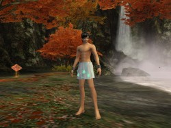 画像ギャラリー No.001のサムネイル画像 / 「PSU イルミナスの野望」“バスタオル姿”になれる新アイテム追加