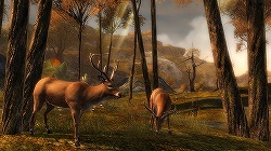 ꡼ No.003Υͥ / Gamescomϴ¸MMORPGȤĶGuild Wars 2סץ쥼ơȽޤȤƾҲ