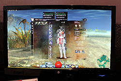 ꡼ No.025Υͥ / G-Star 2011ϡGuild Wars 2ץץ쥤ݡȡ饯ᥤ󥰤ѡʥ륹ȡ꡼ʥߥå٥Ȥ˿Ƥߤ