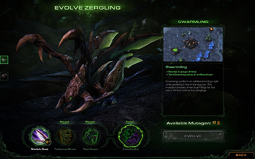 ꡼ No.012Υͥ / GamescomϡStarCraft IIפγĥѥåStarCraft II: Hearts of the Swarmפ̸˥ץ쥤֥Blizzard DOTAפʹ