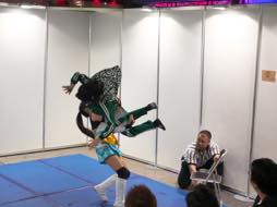 画像ギャラリー No.007のサムネイル画像 / 男色ディーノのゲイムヒヒョー ゼロ:第348回「TGS 2015の思い出」