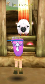 ���������꡼ No.010�Υ���ͥ������ / ��Cocoloa�ʥ��������ˡ�11��28���˥��åץǡ��Ȥ�»ܡ��ֲ�²�����ƥ�ס����쥷���ƥ�פʤɿ������Ǥ�¿������