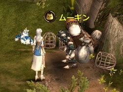 ꡼ No.008Υͥ / PRǷޤ졪MMOϥ塼ƥ󥰡RPGValkyrie SkyפϤ褦2