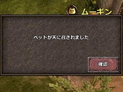 ꡼ No.009Υͥ / PRǷޤ졪MMOϥ塼ƥ󥰡RPGValkyrie SkyפϤ褦2