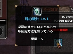 ꡼ No.013Υͥ / PRǷޤ졪MMOϥ塼ƥ󥰡RPGValkyrie SkyפϤ褦2