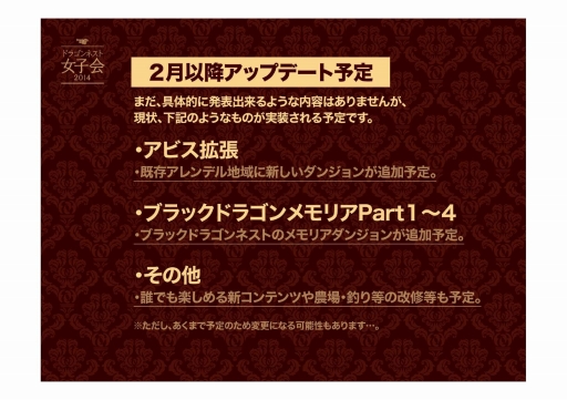 画像ギャラリー No.018のサムネイル画像 / 「ドラゴンネスト」2014年の最新アップデート情報をお届け。女性限定オフラインイベント“女子会2014”の会場で発表に