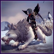 ���������꡼ No.008�Υ���ͥ������ / �֥ɥ饴��ͥ��ȡס�PvE�֥֥�å��ɥ饴��ͥ��ȡפ俷2�����֥֥�󥬡��פ����