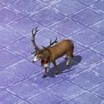 ꡼ No.015Υͥ / ֹֻסȸ޿󥿤˽ɤ˻ߤơXmasץ쥼ȡɤ餪