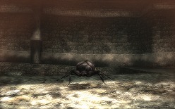 ꡼ No.005Υͥ / CBTüԤ罸³档Wizardry Onlineסȡ꡼ȥ󥹥˴ؤ󤬸