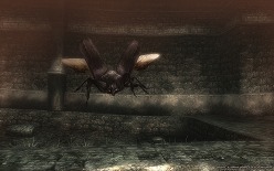 ꡼ No.006Υͥ / CBTüԤ罸³档Wizardry Onlineסȡ꡼ȥ󥹥˴ؤ󤬸