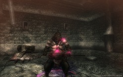 ꡼ No.007Υͥ / CBTüԤ罸³档Wizardry Onlineסȡ꡼ȥ󥹥˴ؤ󤬸