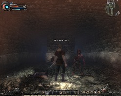 ꡼ No.002Υͥ / Wizardry OnlineסԤĩ󥸥±Ĥ⸽֥ꥰ顼ƻסȤäɸ楷ƥξܺ٤ࡼӡǳǧ