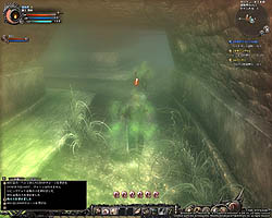 ꡼ No.050Υͥ / Wizardry OnlineפCBTֵǽƥȡθץ쥤ݡȤǺܡ֤ϤϤ١ġĤפϡ֥ȡפο̵ѡ