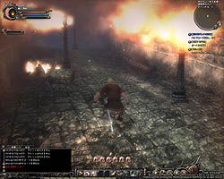 ꡼ No.051Υͥ / Wizardry OnlineפCBTֵǽƥȡθץ쥤ݡȤǺܡ֤ϤϤ١ġĤפϡ֥ȡפο̵ѡ