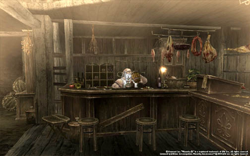 ꡼ No.008Υͥ / ̾WizardryפȼMMORPGȤWizardry Onlineץӥ塼