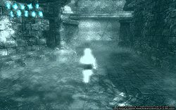 ꡼ No.026Υͥ / ̾WizardryפȼMMORPGȤWizardry Onlineץӥ塼